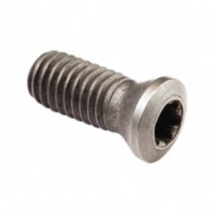ICE M4.0 x 8 Insert Screw T15 Head